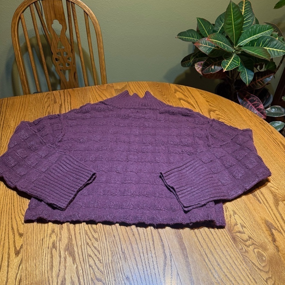 Free People Sweater Size Small NWT Cropped